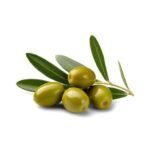 Olive Oil