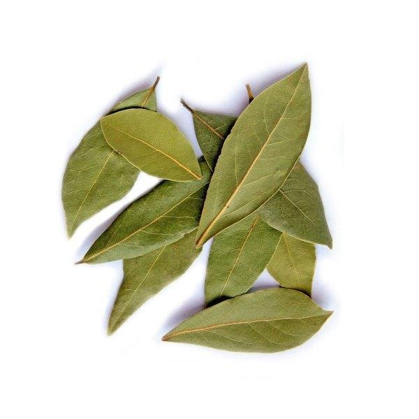 Bay Leaf Essential Oil
