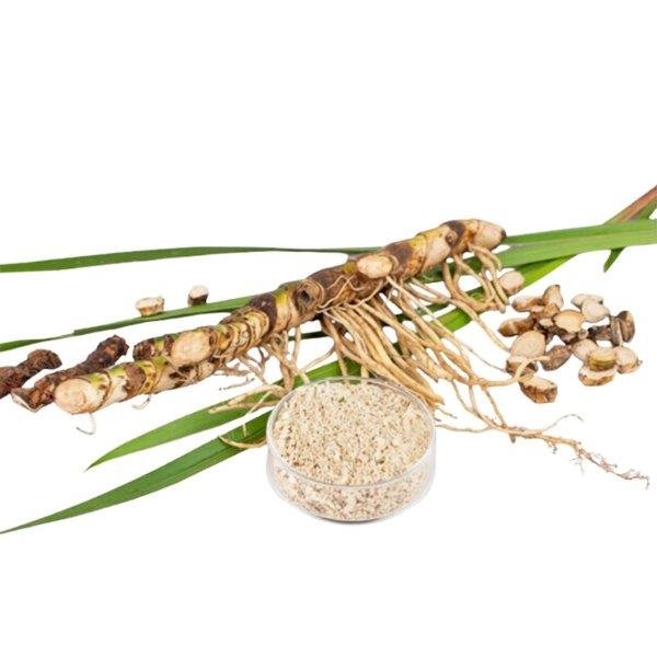 Calamus Essential Oil