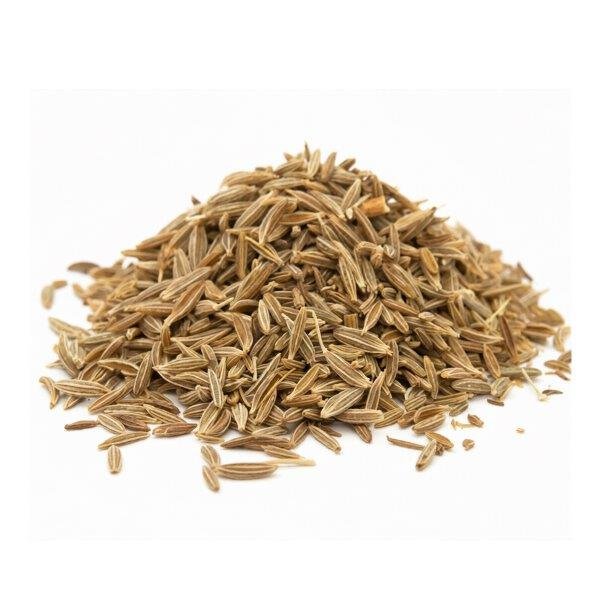 Caraway Essential Oil