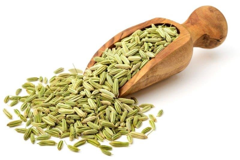 Fennel Seed Essential Oil