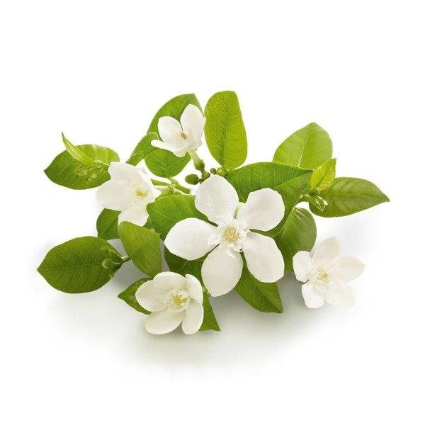 Neroli Essential Oil