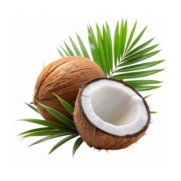 Coconut Oil