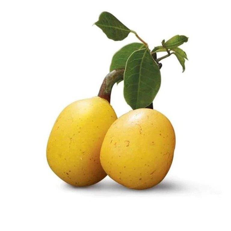 Marula Oil