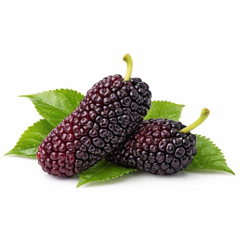 Mulberry Seed Oil