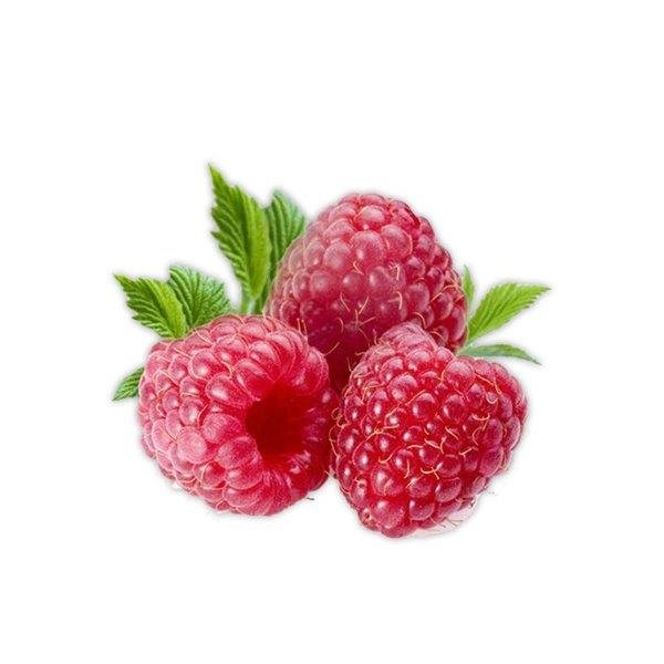 Raspberry Seed Oil