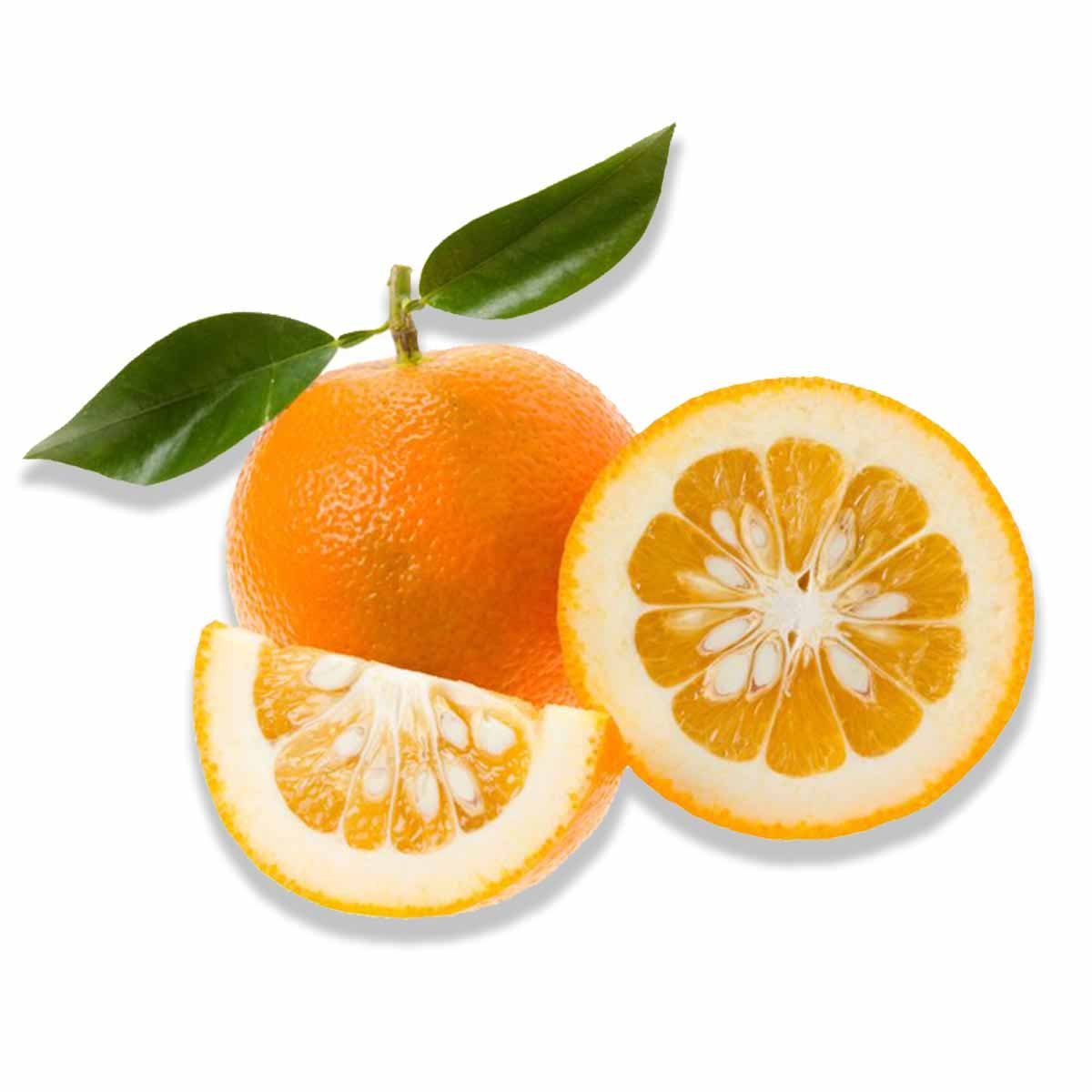 Bitter Orange Hydrosol