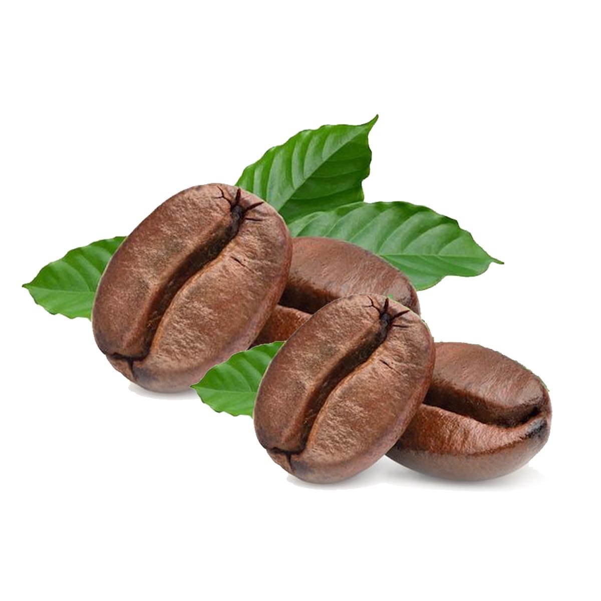 Coffee Hydrosol