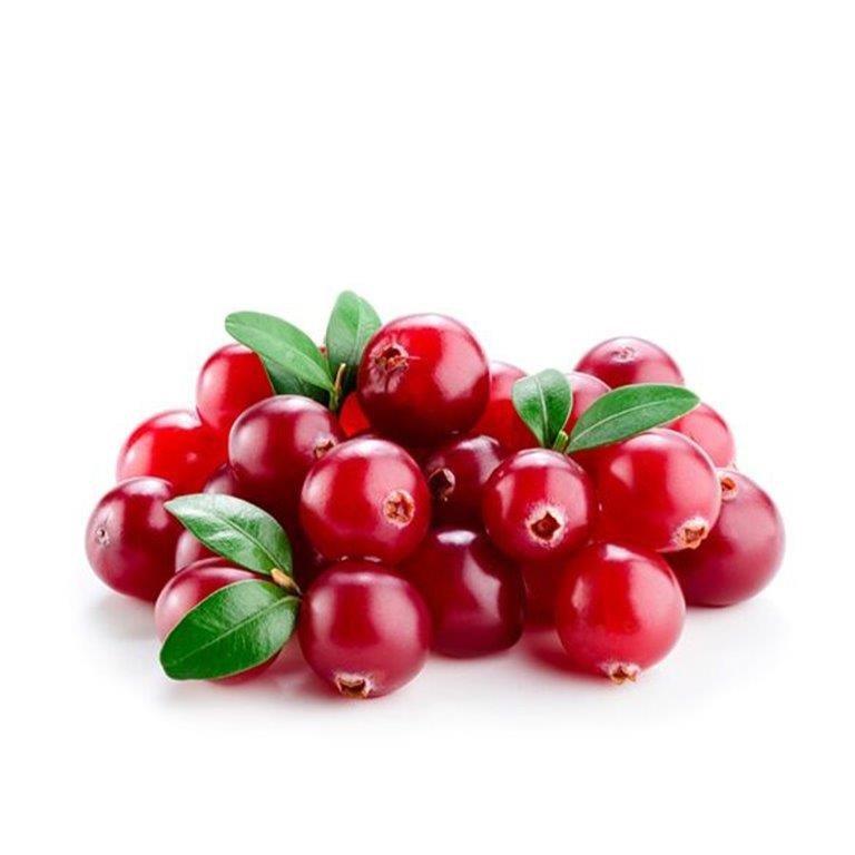 Cranberry Seed Oil