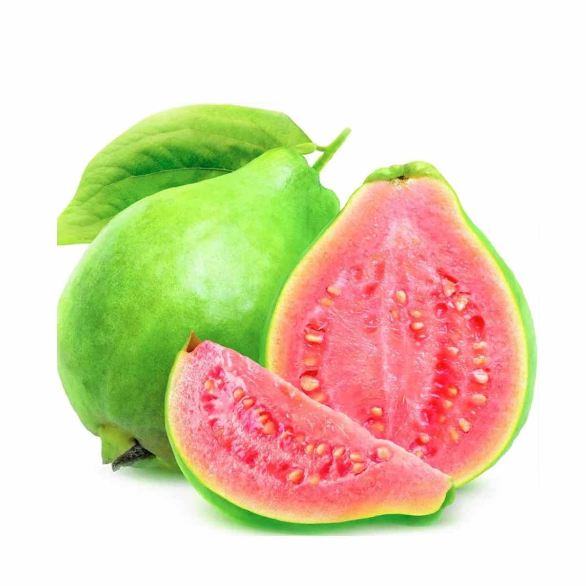 Guava Liquid Extract