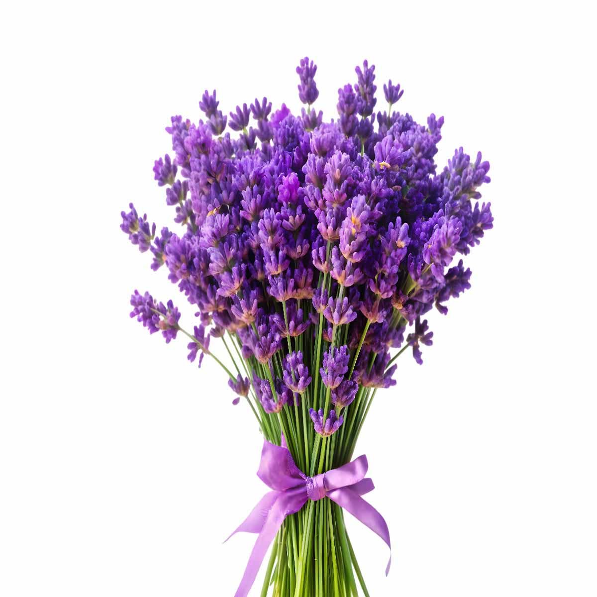 Hyssop Hydrosol