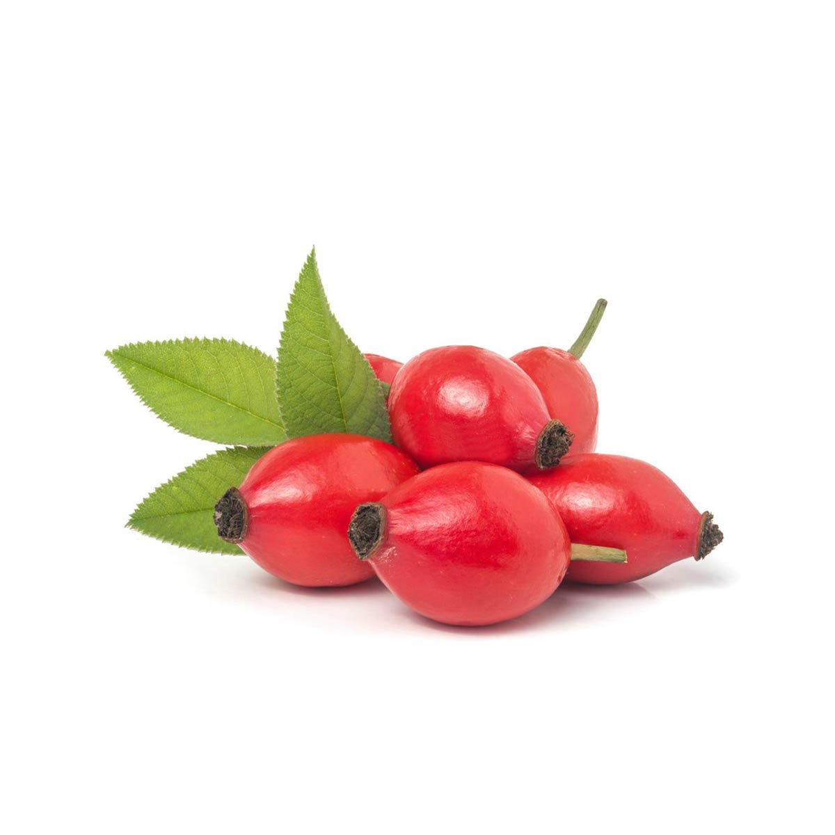 Rosehip Liquid Extract