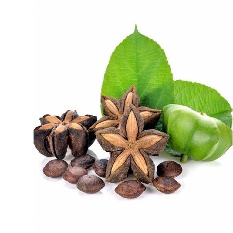 Sacha Inchi Oil