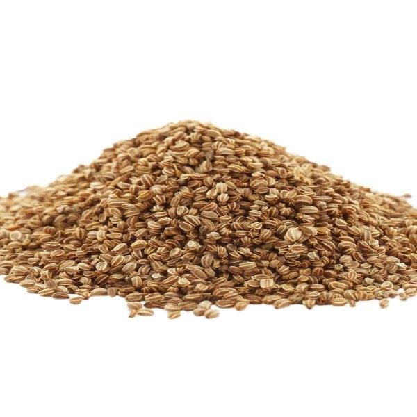 Ajwain Fragrance Oil